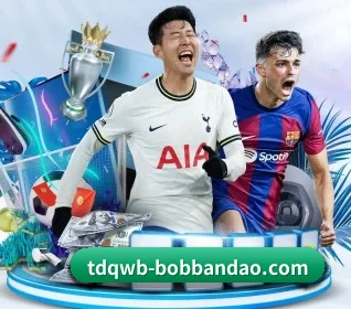 bob半岛围绕看球场景设计的核心服务 - 多运动项目内容板块